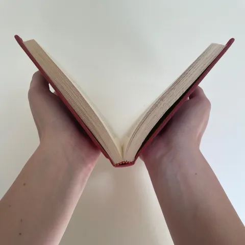 A picture of my hands holding a book up like the logo mark.